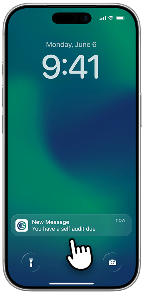 ngc-self-audit-resource-app-1